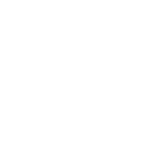 Logo Icon