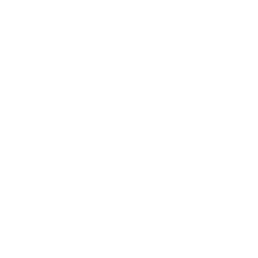 Logo Icon