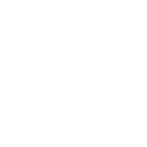Logo Icon