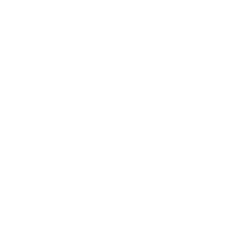 Logo Icon