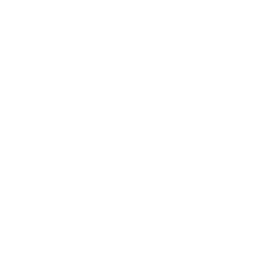 Logo Icon